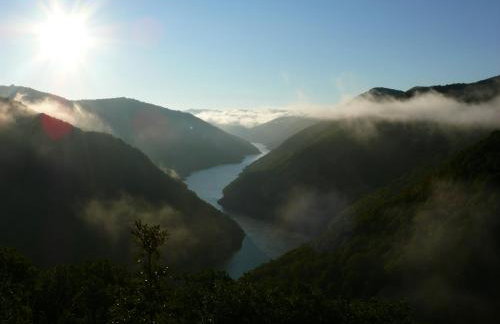 Petrini Gonia - Foto 39