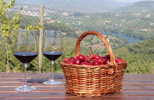 Quinta do Pombal Douro - Foto 18