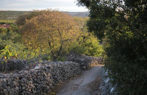 Apartments Irina - Foto 31