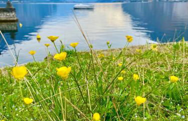 Grand View Como Lake Apartment - Foto 12