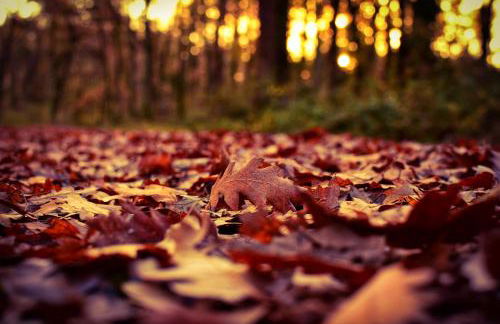 Il Pianerottolo - Foto 13