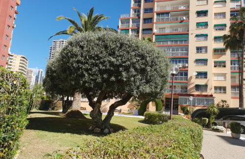 En el cielo de Benidorm - Alteanos V - Foto 41