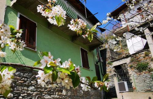 Apartment Green House-1 by Interhome - Foto 18