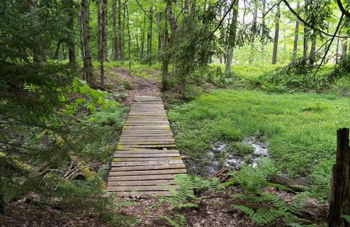 Three Cabins - Pet Friendly & Hot Tub - Foto 59