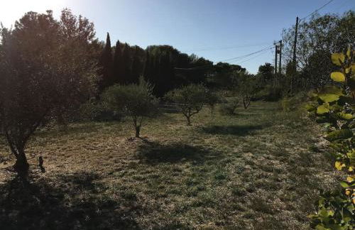 FLC - Large Charming House - Swimming Pool - Foto 10