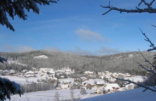 Forsthauswohnung im Schwarzwald - Foto 30