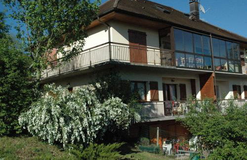 gîtes des planchettes - Foto 9