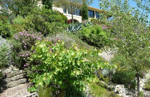 Le Mille Fleurs - Foto 32