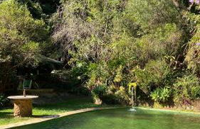 Chalé Laranja - Sítio Caldeirão - Foto 31