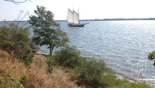 Hausboot Dänholm - Foto 3