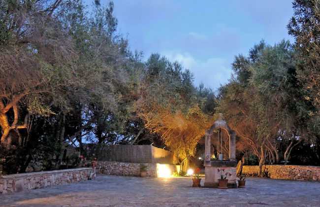 Moli de Son Vidal - Foto 51