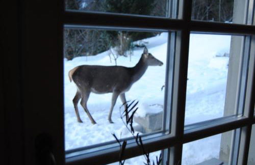 La Lince Lodge - Foto 48