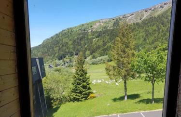 Appartement spacieux au cœur du massif du Sancy - Foto 14