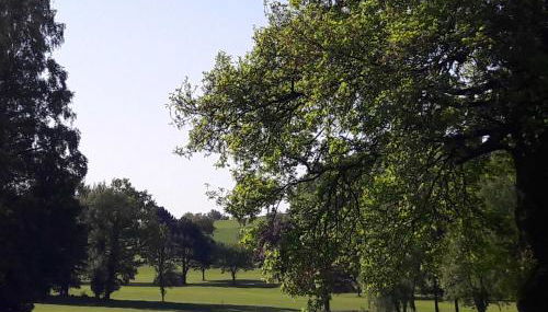 Ferienwohnung "Haus 25" - Zum Golfplatz Tecklenburger Land - Foto 2