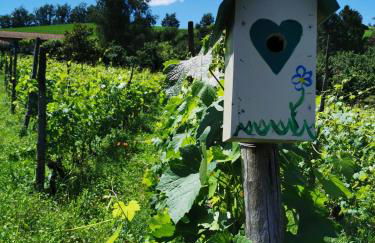 Agriturismo Mondo - Foto 13