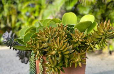 HiddenGem in Charming Sarasota, Florida - Foto 10