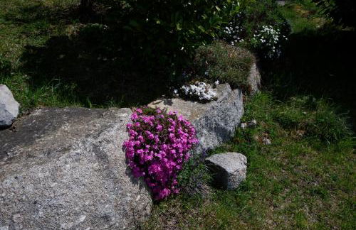 Haus Lichtblick - Foto 7