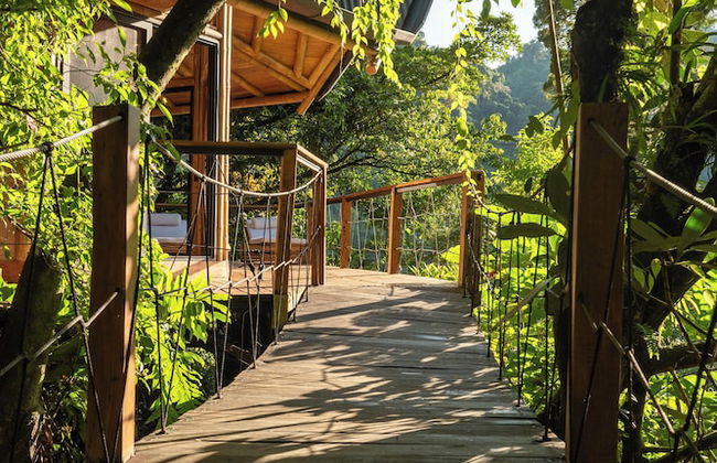 El Tigre Hideaway - Photo 30