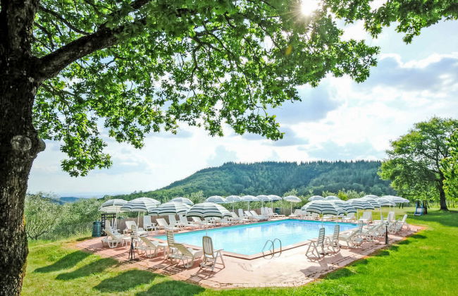 La Farfalla n°5 - Foto 2