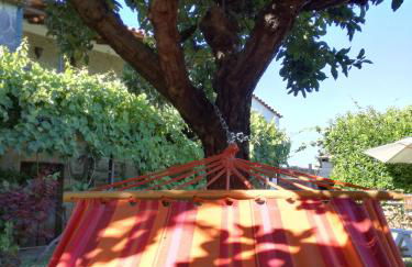 O Ze Ja Dormiu Aqui - Photo 35