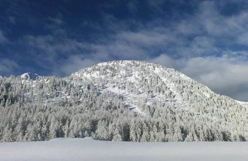 Appartement studio front de neige, accès direct aux pistes - Photo 15