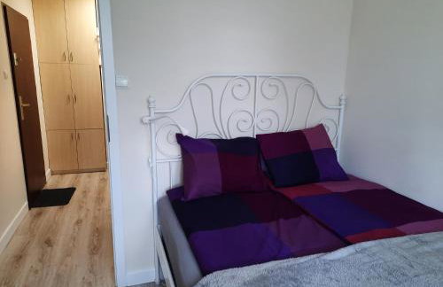 Kawalerka za Świeciem - Foto 9