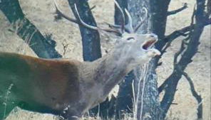 Casa Rural Albahaca - Foto 5