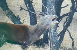 Casa Rural Albahaca - Foto 5