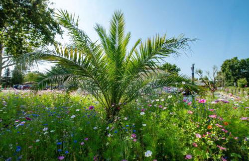 L Arberet 2 village, 4 étoiles - Foto 40