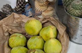 Casa vacanze Marina di Ragusa Gianni&Lory a 2 Passi dalla Pista Ciclabile di Marina di Ragusa - Foto 11