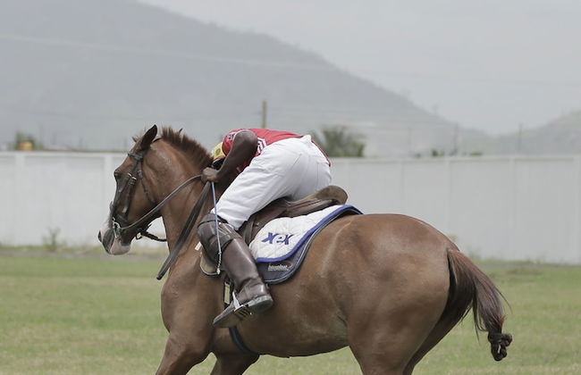 St Georges - Foto 10