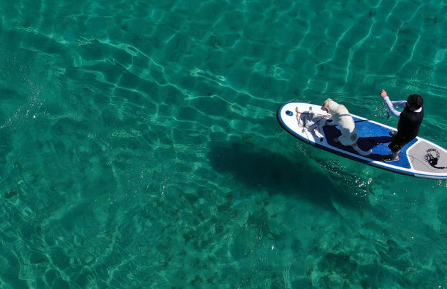 Tour della Huasteca Potosina in paddle surf - Foto 1