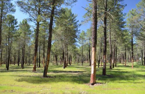 Casa Rural Las Barricas - Foto 48