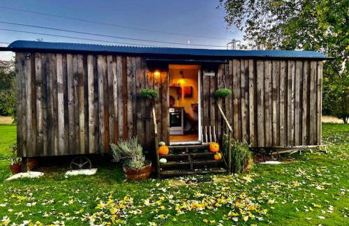 Mountbatten Shepherds hut & Buckhurst Shepherds hut - Foto 16