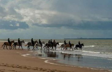 Mobil Home Moderne de 40m2 TOUT CONFORT Camping SIBLU Les CHARMETTES 785 La Palmyre Les Mathes - Foto 41