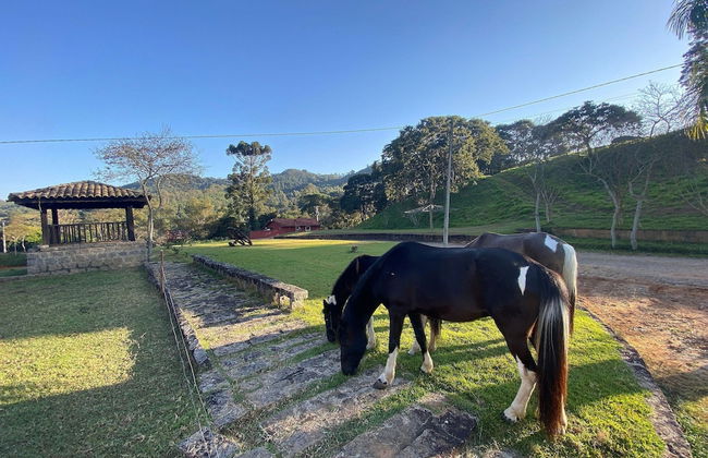 Fazenda Realeza - Foto 70