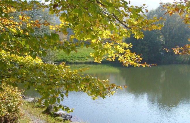 Luise Bernhardt Modern Retreat - Foto 7