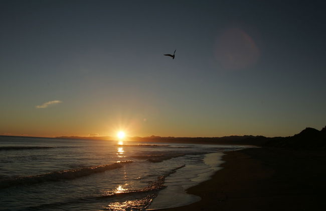 Capeview Cottage - Foto 17