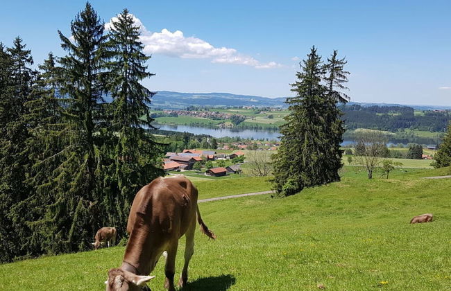 Holiday Home Hannes - Foto 19