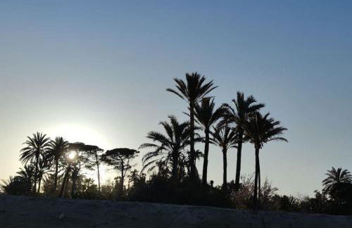 Latido Del Puerto - Foto 29