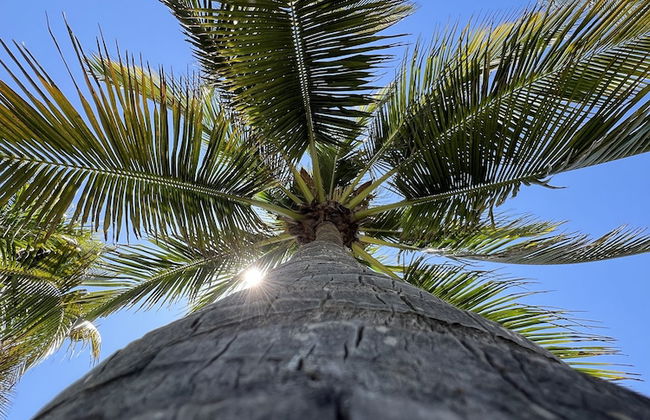 La Hola Villas - Photo 79