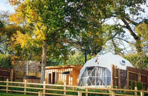 The Little Retreat, Pembrokeshire - Photo 21