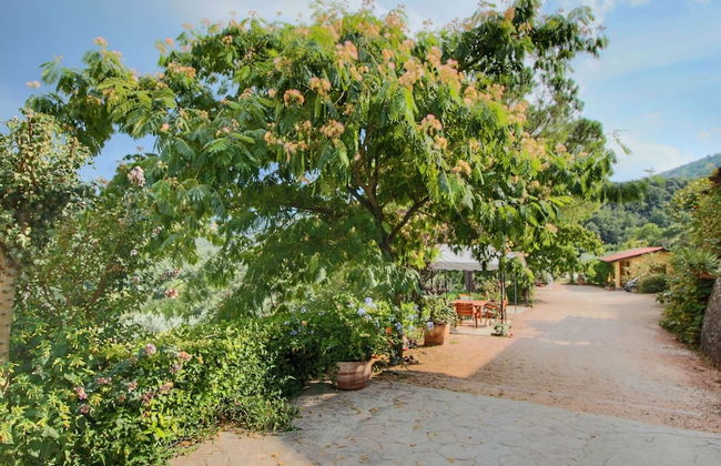 Cottage in Bettona With Pool & Near Assisi - Photo 30