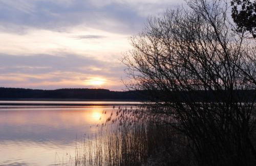 Ferienhaus Seeadler - Photo 22
