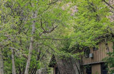 Cabin on Big Cottonwood River - Foto 20