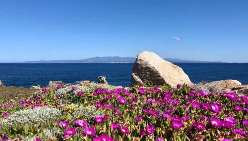 Relaxing Cristal Bedroom Apartment Sleeps Num1502 - Photo 2