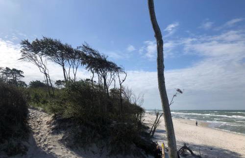 Prerow „Seaside“-strandnah! - Foto 31