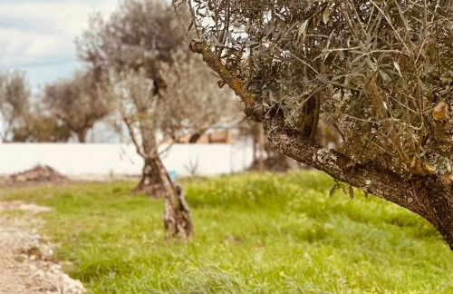 Cantinho do frade - Foto 10