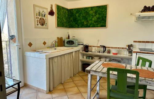 Mas de la Sacristière - Photo 52