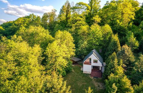 Blisko i nad Soline i w góry, kominek, ognisko i wędzarnia - Foto 20